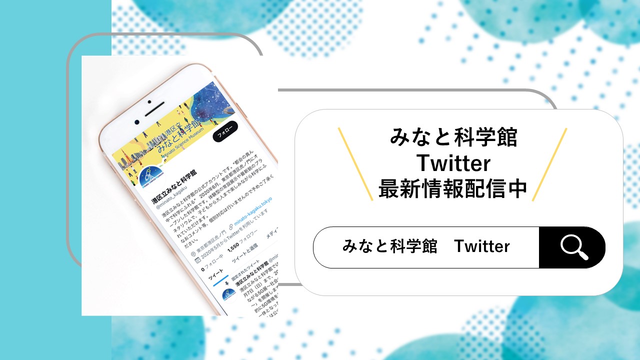 初回限定お試し価格】 ミナト様確認用ページ - ファッション雑貨