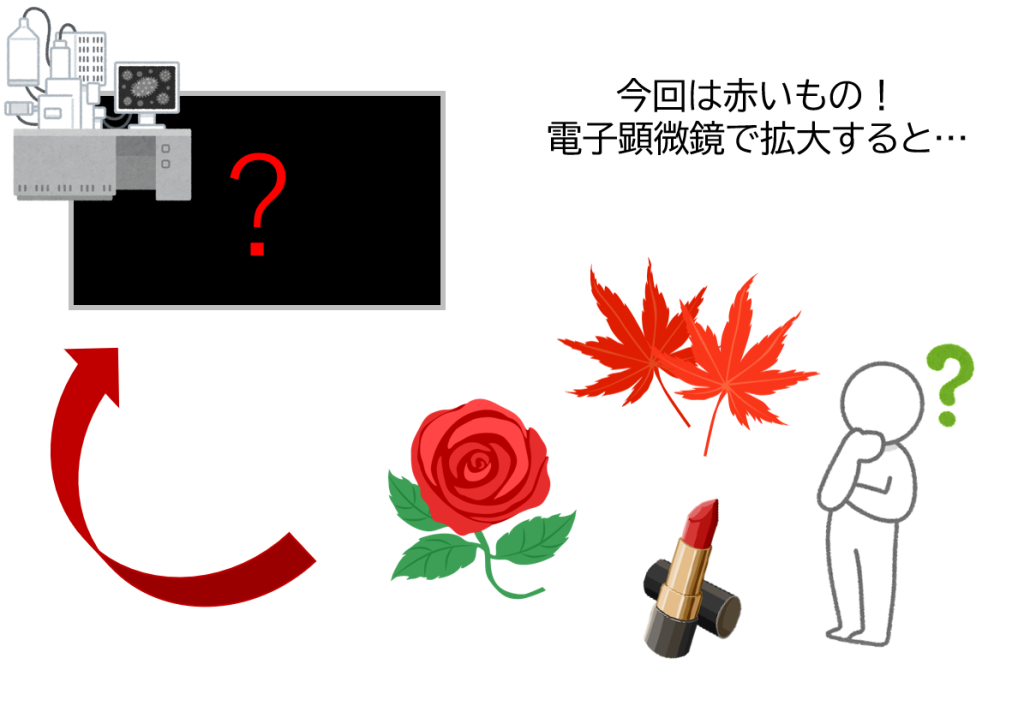 みなと科学館 Minato Science Museum