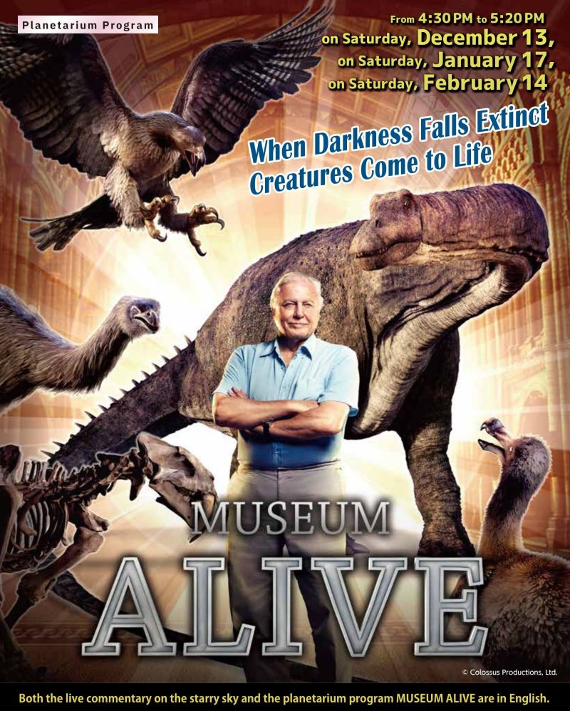 title： MUSEUM  ALIVE（English version ）