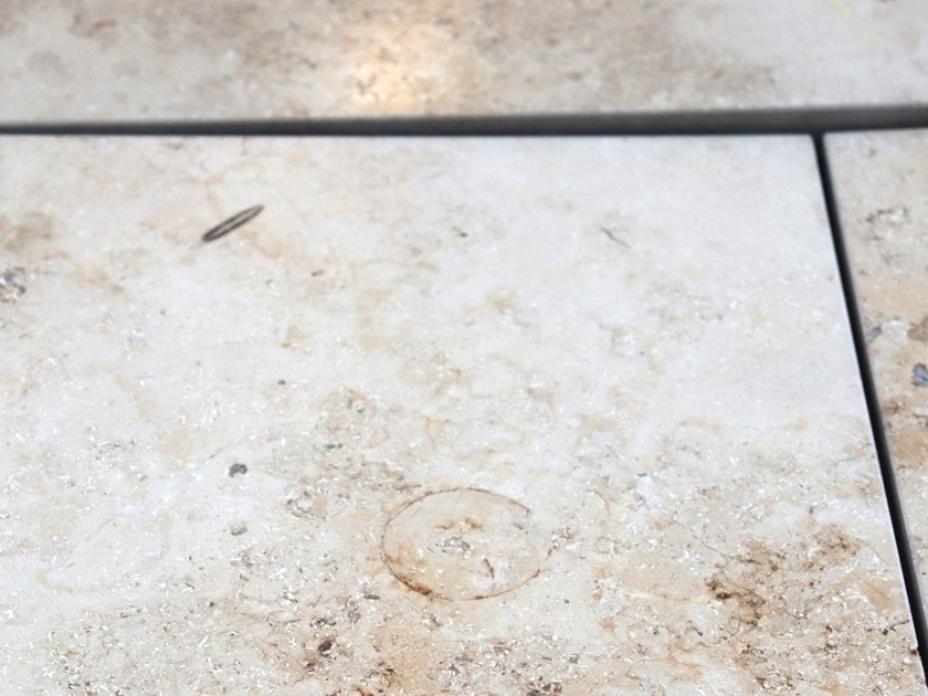 fossil01
