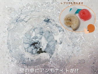 街中アンモナイトの見つけ方<br>～アンモナイトとクイズとレプリカづくり～