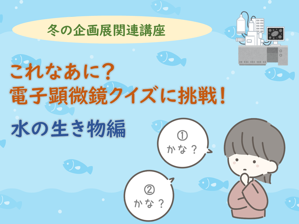 これなあに？電子顕微鏡クイズに挑戦！「水の生き物編」