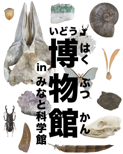 移動博物館　～触って学ぶ進化のフシギ～　