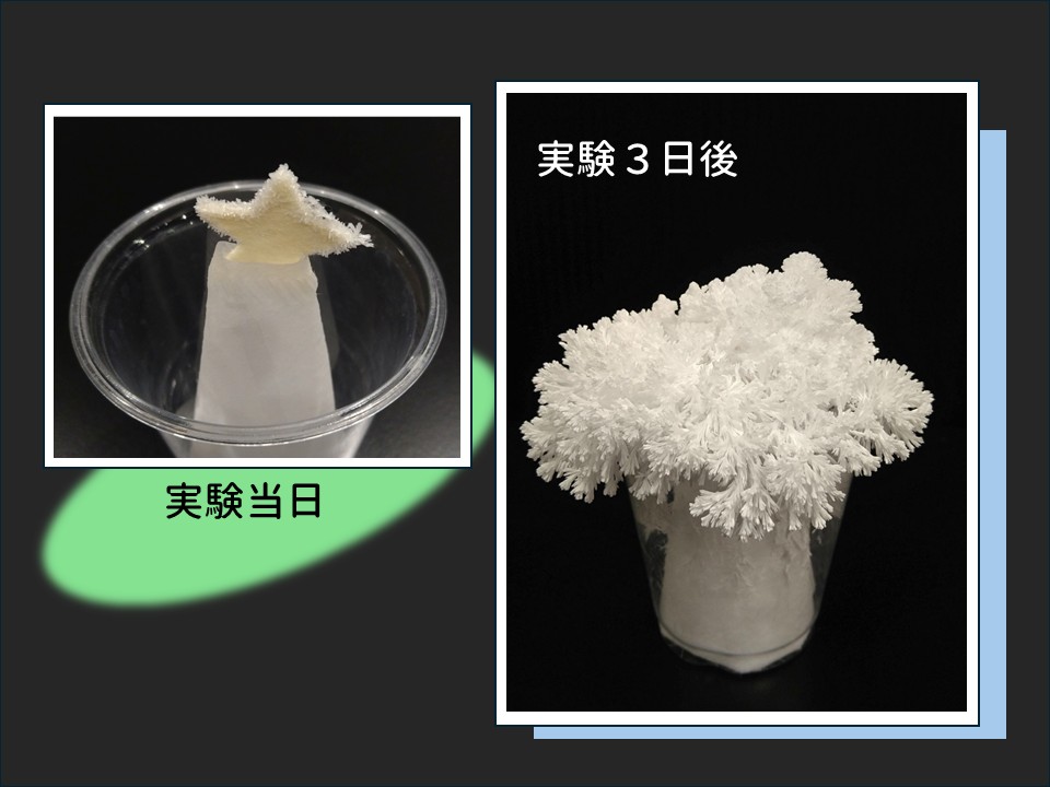 結晶でクリスマスツリー