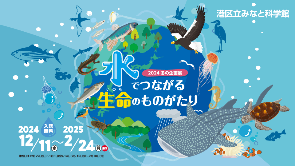 2024 冬の企画展「水でつながる生命(いのち)のものがたり」