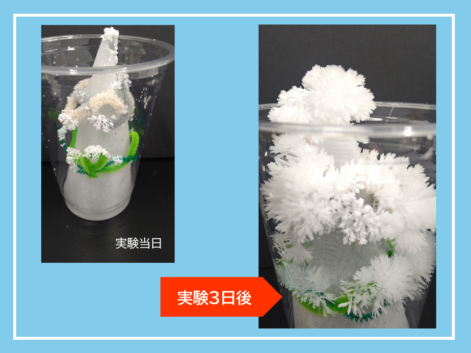 結晶でつくる　もこもこツリー