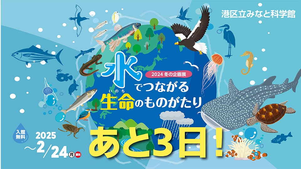 2024 冬の企画展「水でつながる生命(いのち)のものがたり」