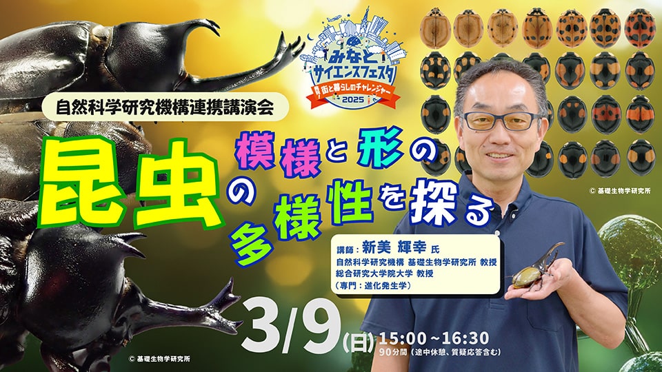 【みなとサイエンスフェスタ2025】講演会「昆虫の模様と形の多様性を探る」