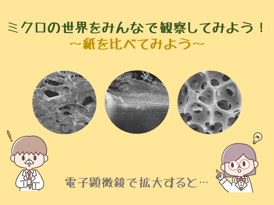 ミクロの世界をみんなで観察してみよう！<br>～紙を比べてみよう～