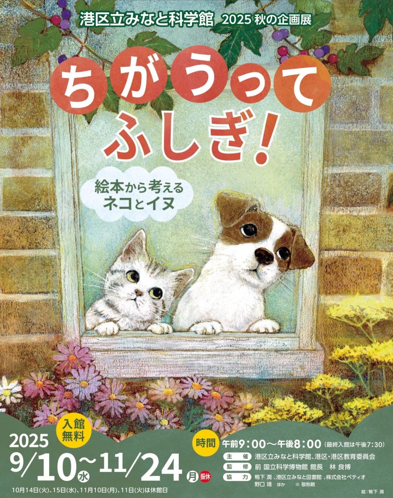 みなと科学館_秋の企画展 - HP用