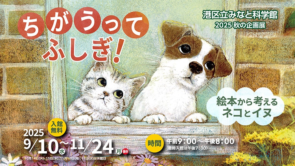 2025秋の企画展「ちがうってふしぎ！ ～絵本から考えるネコとイヌ～」
