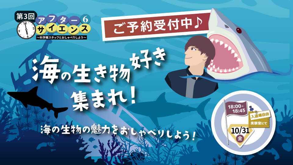 海の生き物好き集まれ！海の生物の魅力をおしゃべりしよう！