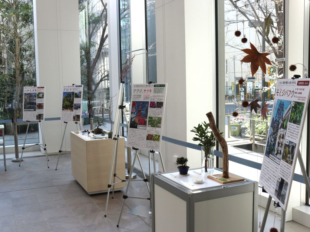 港区立麻布地区公園・児童遊園 連携パネル展<br>「公園の樹木～港区の公園の樹木を観察しよう～」