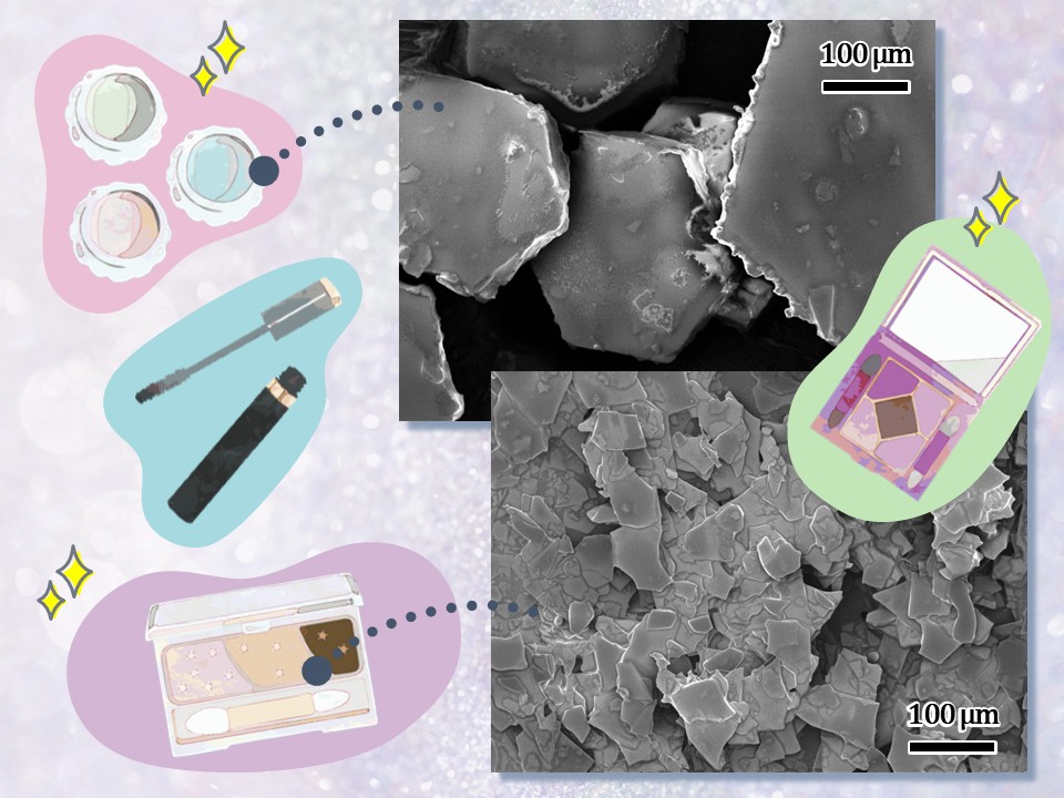 電子顕微鏡を使ってミクロの世界をのぞいてみよう！～コスメ編～